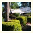 Malanda Lodge Motel