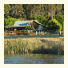 Clover Cottage Country Retreat