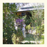 The Chalet Guesthouse And Studio: fotografie