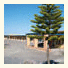 Norfolk Pine Motel: fotografie