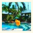 Mission Beach Shores