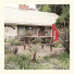 A Shady River Holiday Park: fotografie