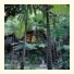 Cape Tribulation Resort & Spa: fotografie