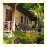 Daintree Deep Forest Lodge