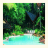 Ferntree Rainforest Lodge