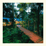 Silky Oaks Lodge