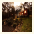 Cottages On Mount View: fotografie