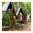 Bungalow Bay Koala Village