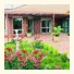 Country Comfort Orange
