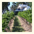 Spicers Vineyards Estate