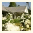 Thistle Hill Guesthouse