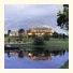 Willow Tree Estate