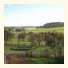Daysy Hill Country Cottages: fotografie