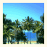 By The Sea Port Douglas: fotografie