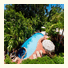 Shelly Beach Resort