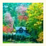 Cottages At Monreale: fotografie