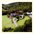 Springbrook Mountain Manor