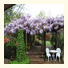 Maple Grove Guesthouse: fotografie