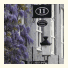 Number 11 Exclusive Guesthouse: fotografie