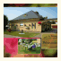 B&B Bloemenweelde