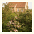 B&B De Peperbus