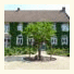 Bed & Breakfast Jadis et Naguère