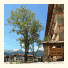 The New Inn Apartments: fotografie