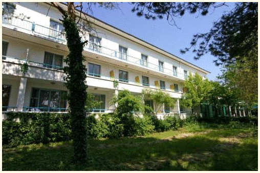 Bor Hotel: fotografie