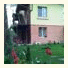 Avel Guest House