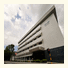 Terrace Hotel: fotografie