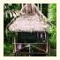 Albergue Ecologico Chalalan