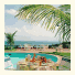 Colonna Galapagos Boutique Hotel: fotografie