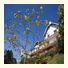 Pousada Constellation Lodge: fotografie