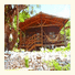 Casa Noronha: fotografie