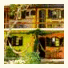 Aratinga Inn: fotografie