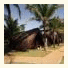 Eco Village Indaiá