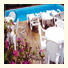 Crillon Palace Hotel