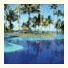 Kiaroa Eco-Luxury Resort: fotografie