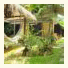 Casa de Bambu: fotografie