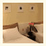 Swan Molinos Business