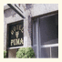 Hotel Puma