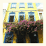 Pousada das Flores: fotografie