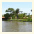 Paracauary Eco Pousada