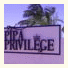 Pipa Privilege: fotografie