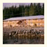 Shearwater Lodge