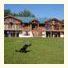 Silver Horn Lodge