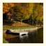 The White Pines Cottage Resort