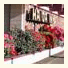 Haida Harbourside Inn