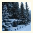 Rundle Ridge Chalets: fotografie