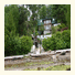 Dolphin House Bed and Breakfast